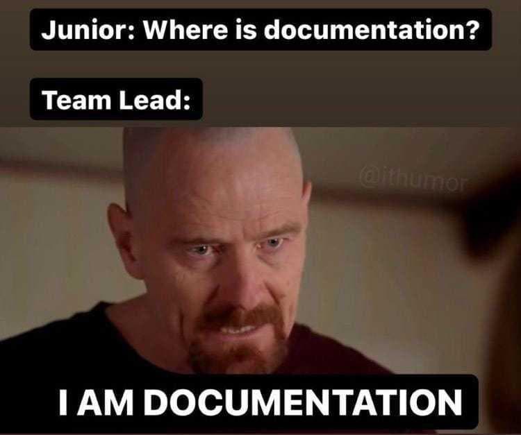 Tech Lead: I am the documentation.