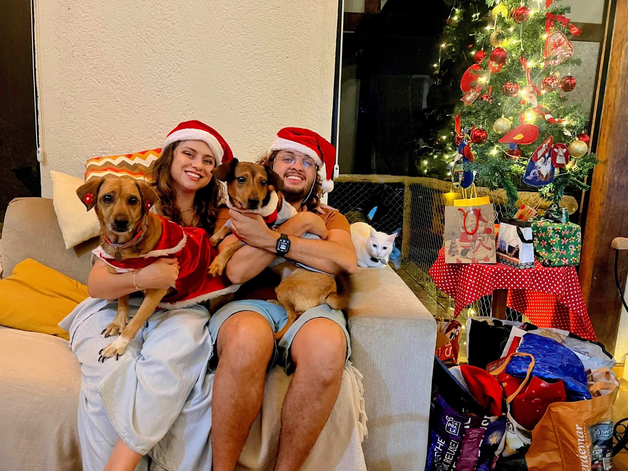 Christmas photo of me, my fiancée Iara, and our three pets, Ayla, Luan and Luna.